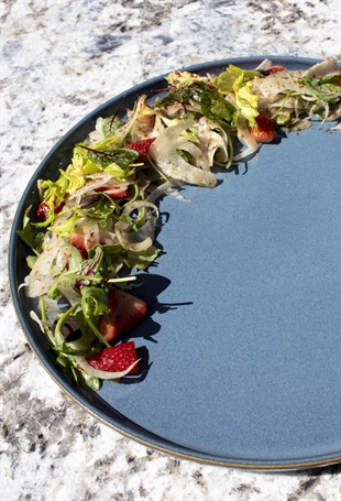 Early Summer/Spring Fennel and Strawberry Salad