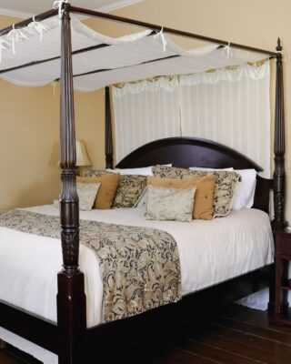 Last Minute – Dove