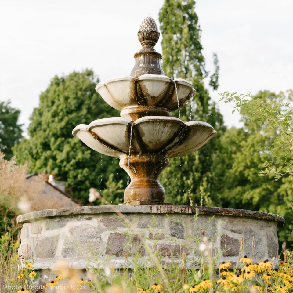 The First Bloom Day Spa