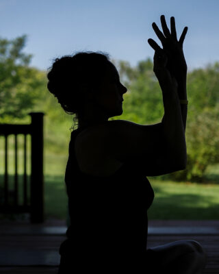 Yoga at the Forest Pavilion