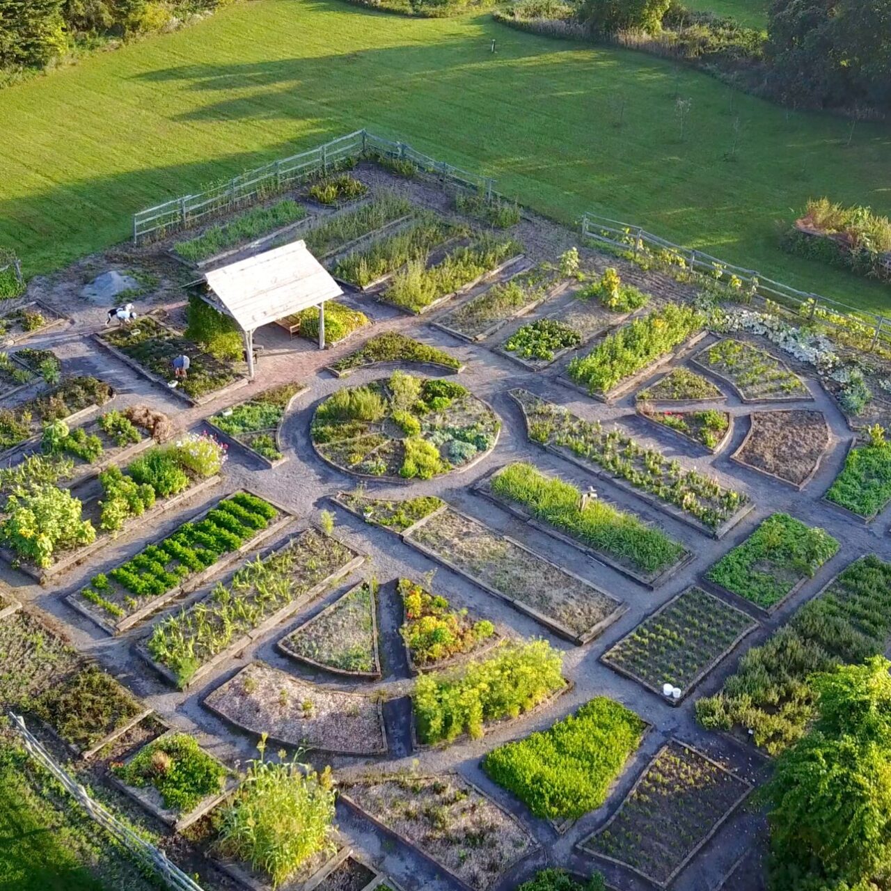 Kitchen Gardens
