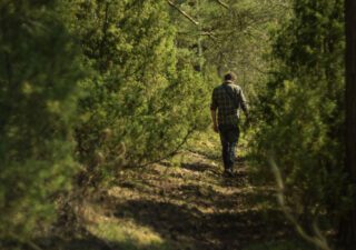 Turn Up The Intensity