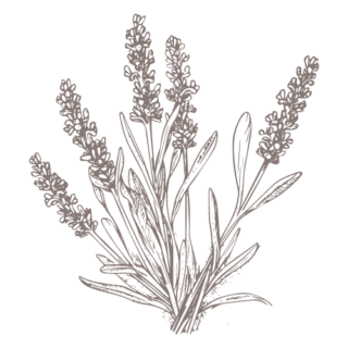 Untitled design