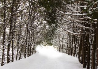 Getting Active Outdoors May Make You Happier