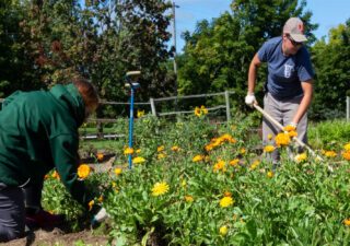 Pro Tips From Our Ste. Anne’s Gardeners For Spring