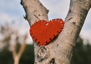 Romance Is In The Air!