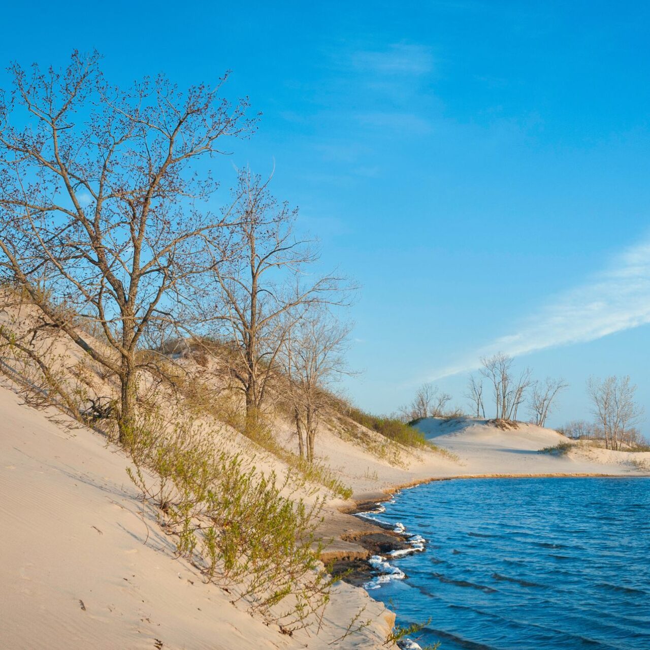Sun, Sand & Shorelines