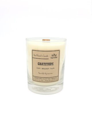 Soy Harvest: Gratitude Timberflame Candle
