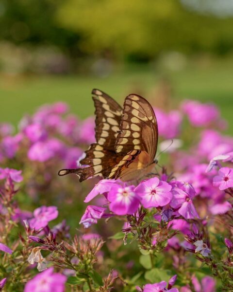 Spring Into Summer Overnight Getaway