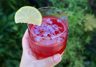 Tropical Glow Mocktail