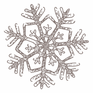 snowflake_icon