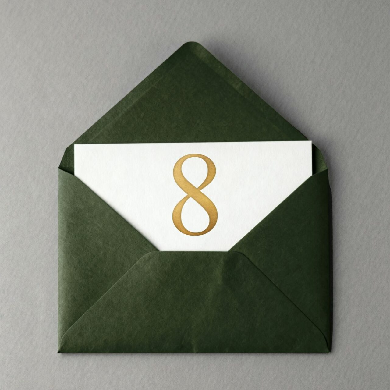 Day 8: Check Back Soon