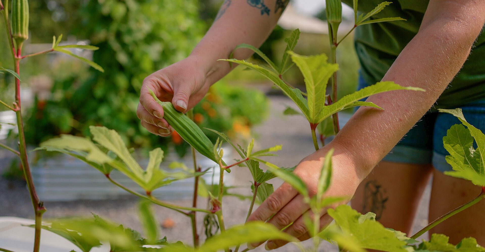Spring Gardening Guide: How to Prep Your Garden After the Snow Melts