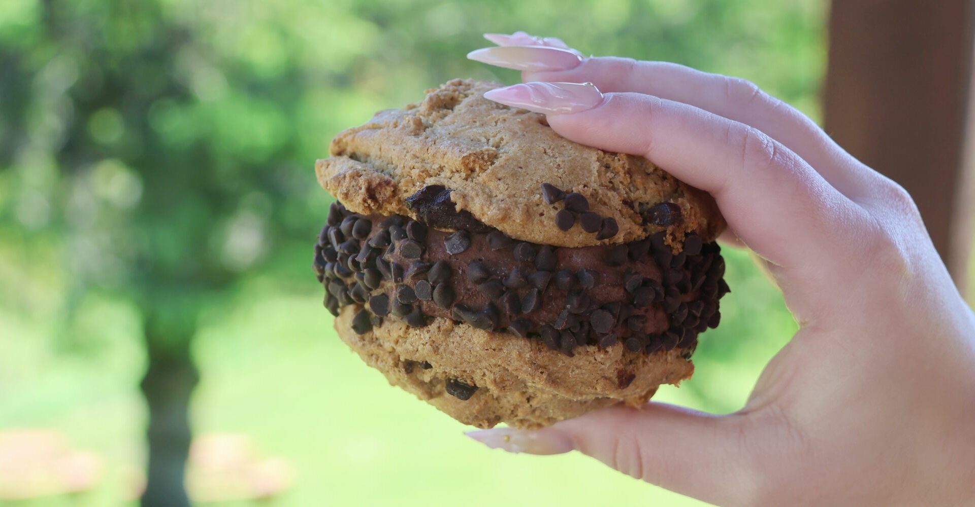 Chocolate Chunk Cookie Ice Cream Sandwiches