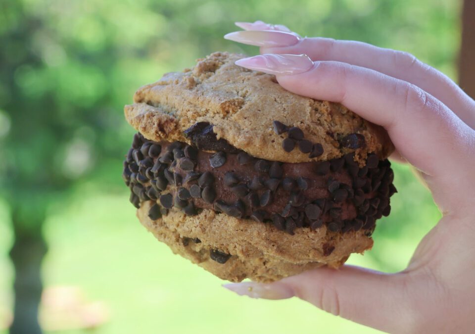 Chocolate Chunk Cookie Ice Cream Sandwiches