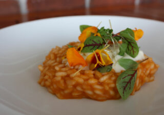 Tomato Risotto