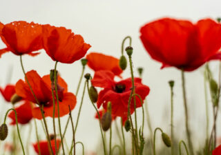 Share Your Words of Remembrance