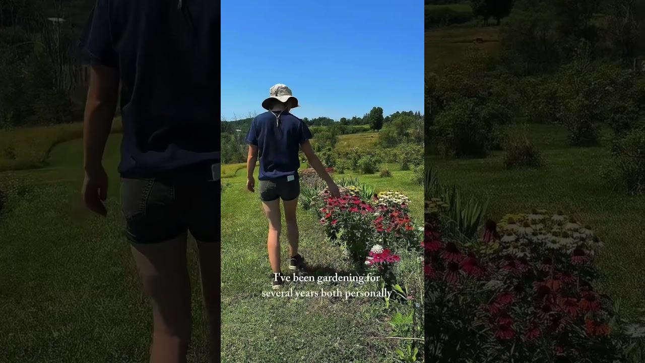 INNsights - Gardening