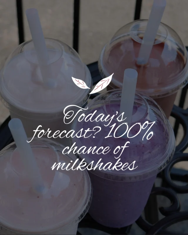  Todays forecast? 100% chance of milkshakes.  Whether you're team chocolate, coconut, strawberry rhubarb or blueberry lavender, we've got your cool-down craving covered. Swing by and sip your way through the heat!#MilkshakeWeather #GraftonEats #SummerSips