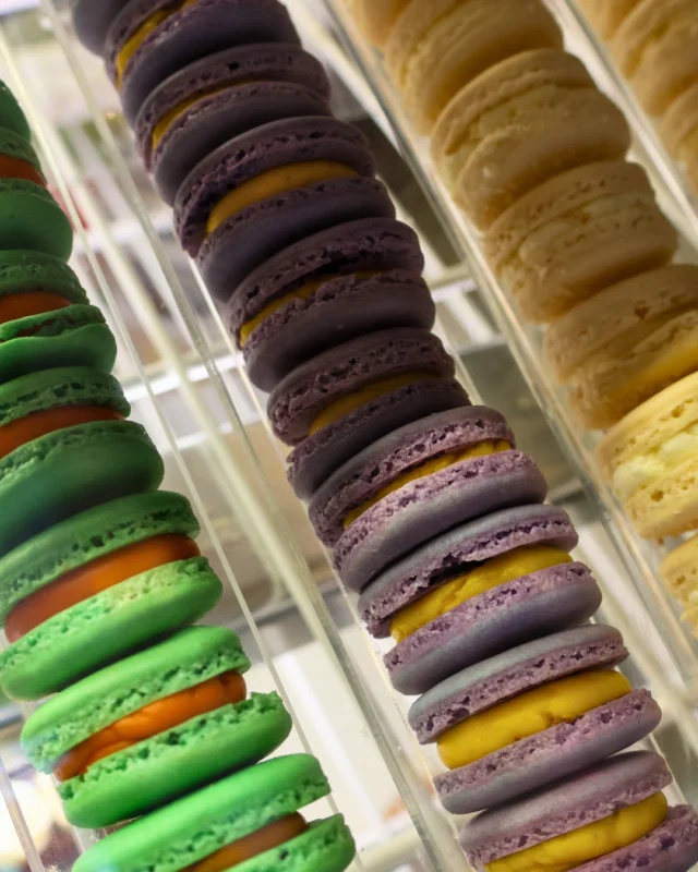 Sweet little bites of summer Our macaron flavours are always changing and this weeks lineup is bringing all the tropical vibes: Mango Triple Chocolate Passionfruit Pia ColadaPerfect for gifting, sharing, or keeping all to yourself. Available now at Ste. Annes Bakery, only for a limited time!