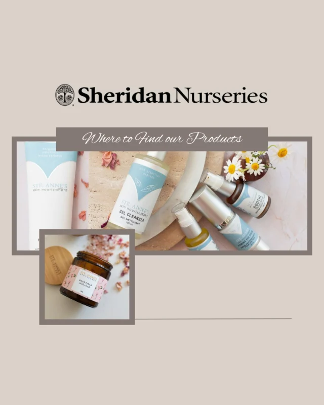 Were pleased to share that our Skin Nourishment and Apothecary products are now available at select Sheridan Nurseries locations! With over 110 years of history, Sheridan Nurseries has been a trusted name in Canadian horticulture, a place where generations have turned for inspiration, beauty and connection to nature. Were proud to partner with a company that shares our passion for nature, quality and care.  Find us at select locations and discover wellness rooted in nature.