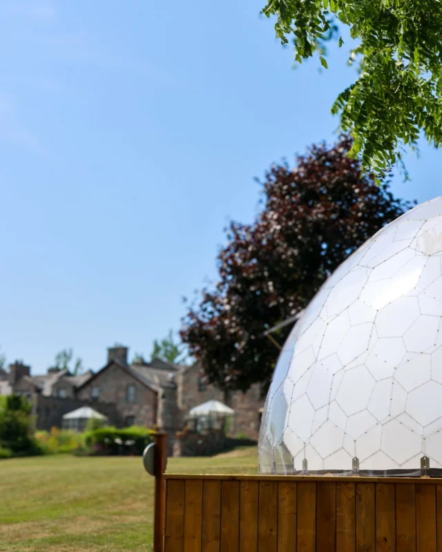 You may have noticed some beautiful new structures emerging on our property. Our geodomes have arrived. These light-filled domes will soon become spaces for wellness classes, meditation and quiet reflection. Designed to bring the outdoors in, they offer a haven where nature and stillness meet.Stay tuned as we continue to create more intentional spaces for you to relax, reconnect and reset.