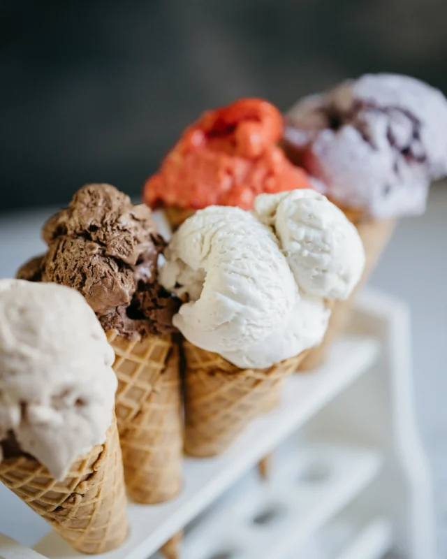 Cool, creamy and completely dairy-free.Our Vegan Iced Coconut Cream and Sorbet is the treat you didnt know you needed. Made with clean ingredients and topped with seasonal fruit when available. Refreshing, satisfying and 100% plant-based. 1L and 4oz sizes available at Ste. Annes Bakery and at select retailers. #VeganDessert #SteAnnesBakery #VeganIceCream