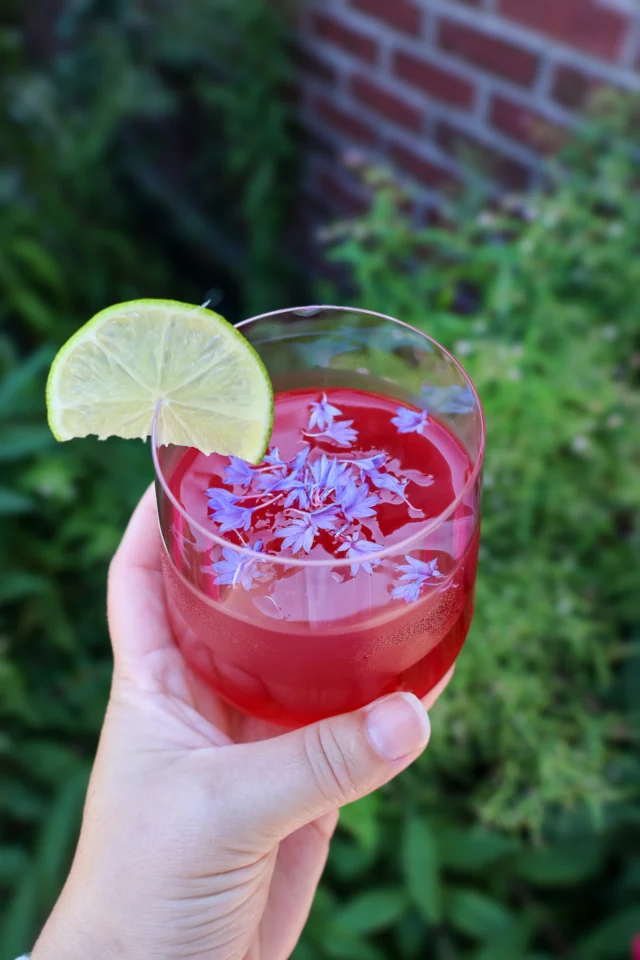 Our Tropical Glow Mocktail is a vibrant, refreshing blend of Ste. Annes Coconutty Tea with hints of hibiscus, pineapple, coconut, and a splash of lime. Lightly sweetened and served chilled, its the perfect sip for summer relaxation and a radiant reset. Find the full recipe on our website.