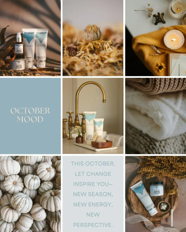 New season, new energy, new perspective.  #OctoberVibes #AutumnMood