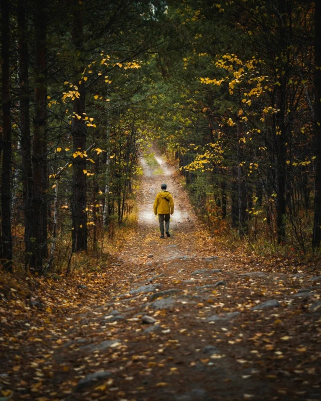  Fall is made for trails! Pack your hikers and take in the best fall hikes Northumberland has to offer. Finish with dinner out and then relax back at one of our cozy rooms. #fallhike #northumberlandcounty