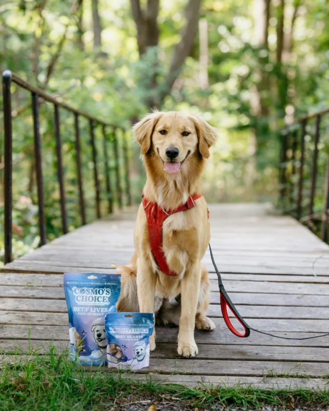 Dont forget the furry members of your family this Thanksgiving!Our Cosmos Choice gluten-free dog treats are the perfect way to spoil them this weekend  Made with wholesome ingredients Available at the bakery for last-minute pick-upsGive your pup a little festive joy this season!#CosmosChoice #freezedrieddogtreats