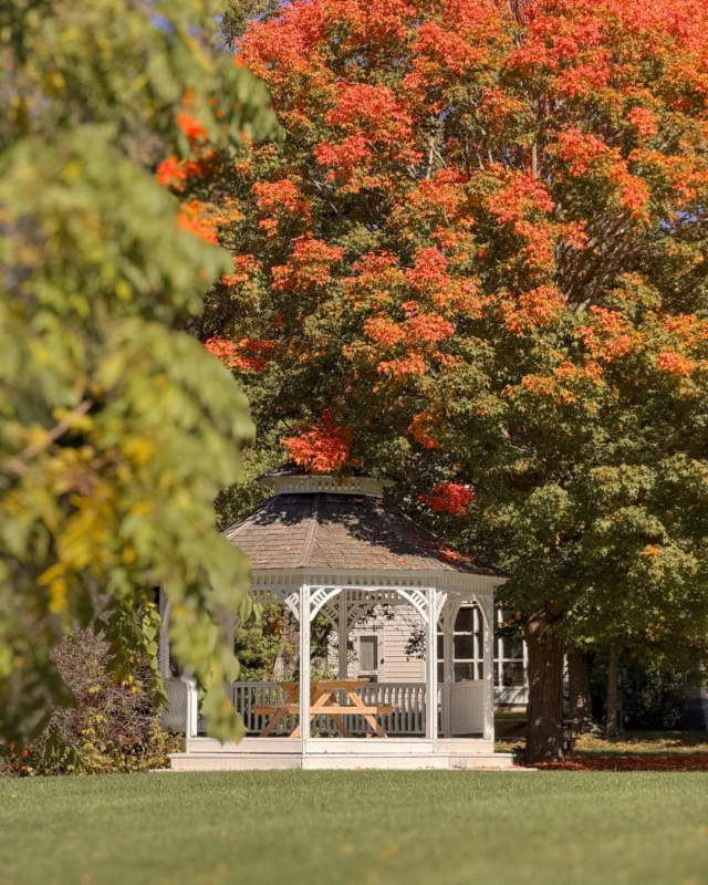 The last leaves of autumn, the quiet charm of the village, and a cozy stay at Grafton Village Inn - theres still time for one more fall escape. Book yours now: https://www.steannes.com/grafton-village-inn/