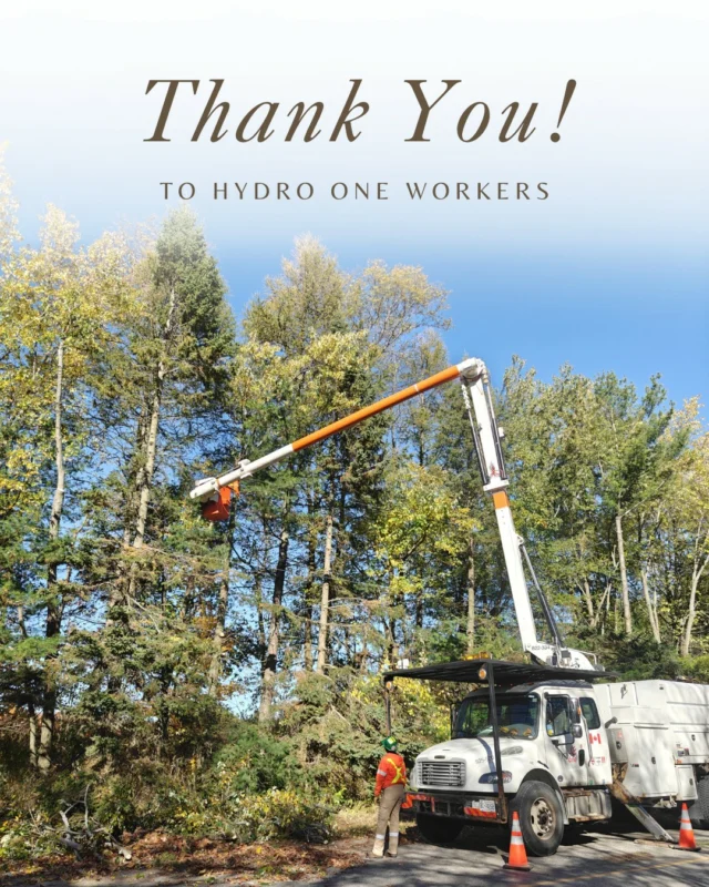 Keeping the lights on in GraftonA heartfelt thank you to the Ontario Hydro crews who have been working in and around Ste. Annes and Grafton over the past several weeks. From forestry maintenance and preparation for the upcoming winter season to an emergency pole replacement on County Rd. 23 to the installation of a new automatic switch that will improve future reliability, your dedication does not go unnoticed.These are the people who show up in all weather, at all hours, to keep our community safe, powered and connected.We are deeply grateful. #ThankYouHydro #GraftonON #CommunityStrong #FrontLineWorkers