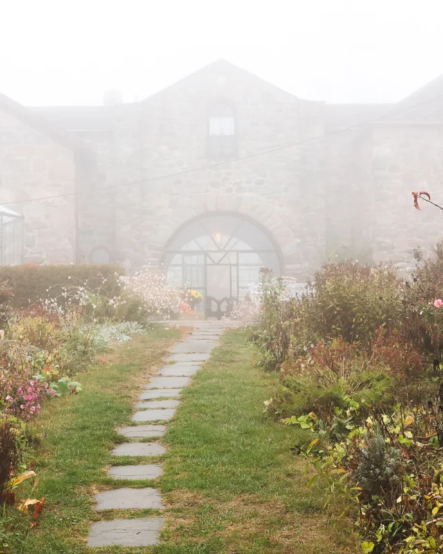 Spring is coming. Even if we cant quite feel it. After a long winter weekend, brighter days are finally ahead.Celebrate the shift in seasons with our First Bloom Package, which is available as both a Day Spa and Overnight experience.Select dates. Amazing savings. All of our usual inclusions.The perfect way to welcome the first signs of spring. Link in bio for availability and rates!