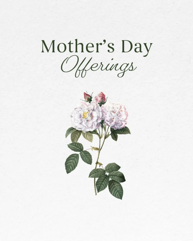 Some gifts are more than a gesture. They become a moment, a memory, a chance to feel truly cared for.This Mothers Day, our Petals & Pearls Gift Box offers a thoughtful way to celebrate someone special. Filled with cherished spa favourites and finds from Canadian makers, its a gift designed to be remembered.For those who prefer to choose their own experience, a Ste. Annes Spa gift card offers the promise of rest, renewal, and time away. And for a touch of spring at home, our seasonal Lily of the Valley Apothecary collection captures the delicate beauty of the season.The Petals & Pearls Gift Box is available to order until Monday, May 4th. A limited-time offering, thoughtfully prepared for Mothers Day. Shop Now - link in bio.