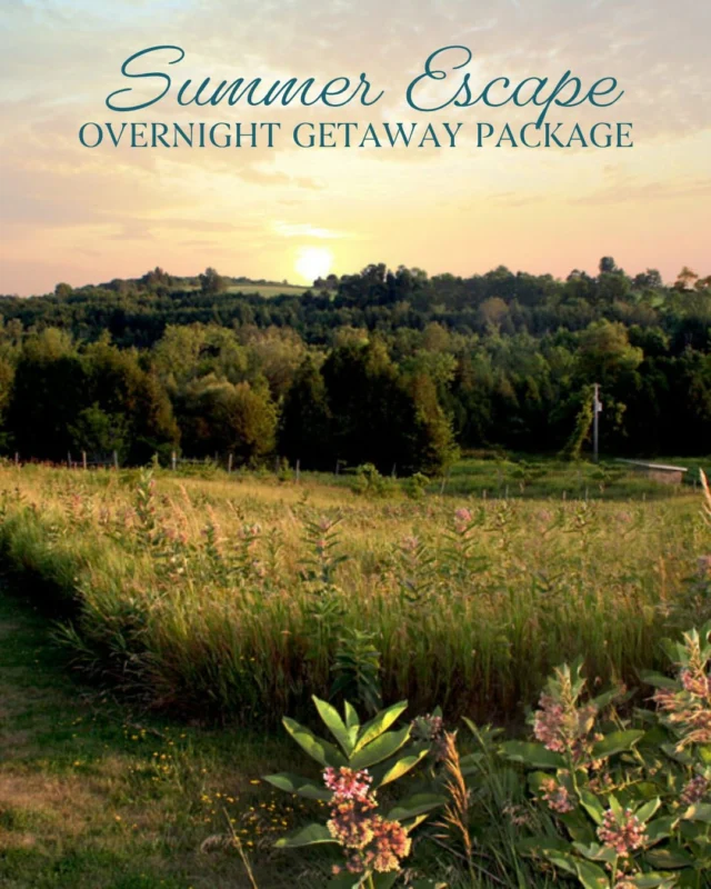 Summer evenings in the countryside were made for this.Our Summer Escape Overnight Getaway includes an overnight stay in our spa cottages, a $150 spa & wellness allowance, afternoon tea, dinner, breakfast, lunch, hydrotherapy access and all the little details that make slowing down feel easy.Special pricing is available for a limited time on select June & July dates at Ste. Annes Spa.With summer being our busiest season, availability wont last long. Call our reservations team at 1-888-346-6772