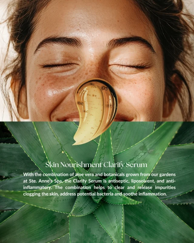 A little clarity for your skin Our Clarify Serum blends algae, aloe vera, and soothing botanicals to help calm the appearance of irritation and leave skin feeling smooth and cared for.---#skincare #botanicalskincare #holisticskincare #skinnourishment